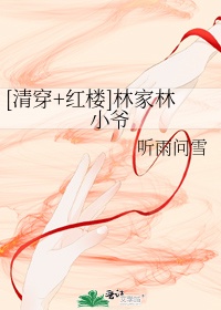 [清穿红楼]林家林小爷